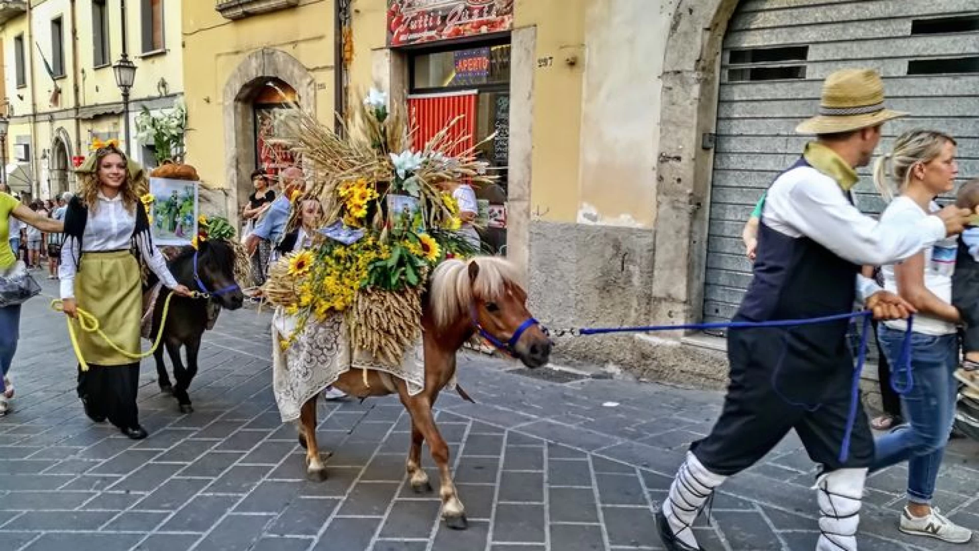 Isernia: processione di Sant’Antonio. L’ordinanza comunale in merito alla processione dei cavalli.